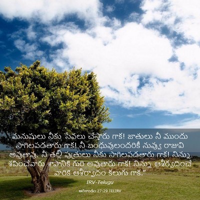Picture 03 - ఆదికాండం 27:29 TELIRV - మనుషులు నీకు - Bible Verse Picture