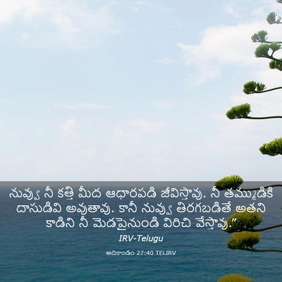 Picture 03 - ఆదికాండం 27:40 TELIRV - నువ్వు నీ కత్తి - Bible Verse Picture