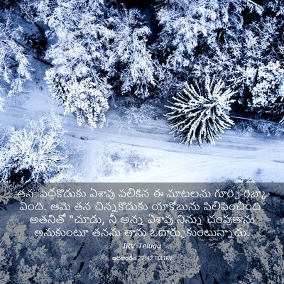 Picture 03 - ఆదికాండం 27:42 TELIRV - తన పెద్దకొడుకు - Bible Verse Picture