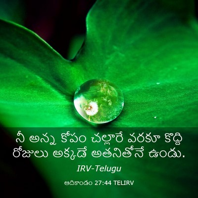 Picture 03 - ఆదికాండం 27:44 TELIRV - నీ అన్న కోపం - Bible Verse Picture