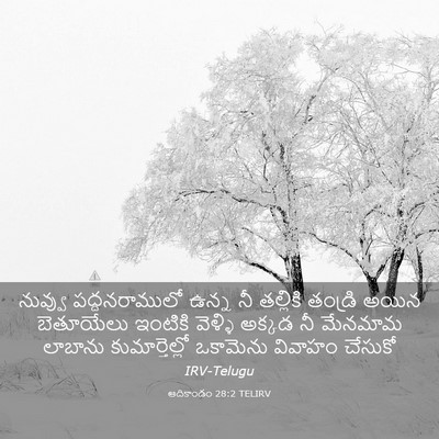 Picture 03 - ఆదికాండం 28:2 TELIRV - నువ్వు - Bible Verse Picture