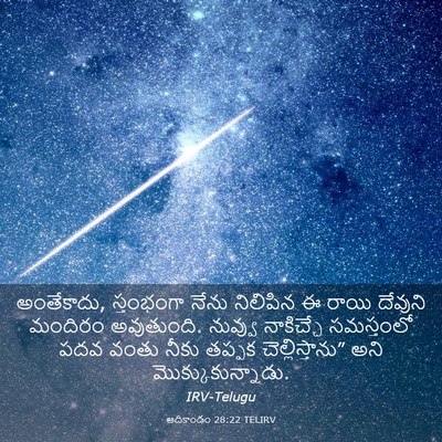 Picture 03 - ఆదికాండం 28:22 TELIRV - అంతేకాదు, - Bible Verse Picture