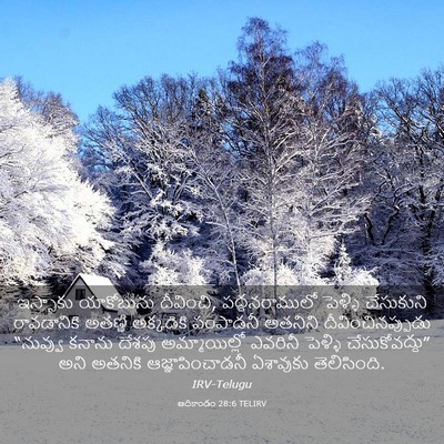 Picture 03 - ఆదికాండం 28:6 TELIRV - ఇస్సాకు యాకోబును - Bible Verse Picture