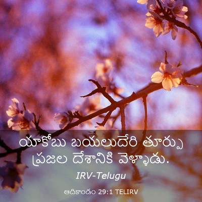 Picture 03 - ఆదికాండం 29:1 TELIRV - యాకోబు బయలుదేరి - Bible Verse Picture