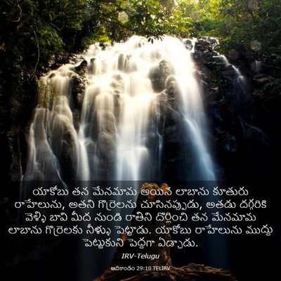 Picture 03 - ఆదికాండం 29:10 TELIRV - యాకోబు తన మేనమామ - Bible Verse Picture