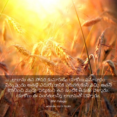 Picture 03 - ఆదికాండం 29:13 TELIRV - లాబాను తన సోదరి - Bible Verse Picture