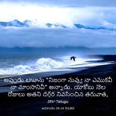 Picture 03 - ఆదికాండం 29:14 TELIRV - అప్పుడు లాబాను - Bible Verse Picture