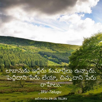 Picture 03 - ఆదికాండం 29:16 TELIRV - లాబానుకు ఇద్దరు - Bible Verse Picture