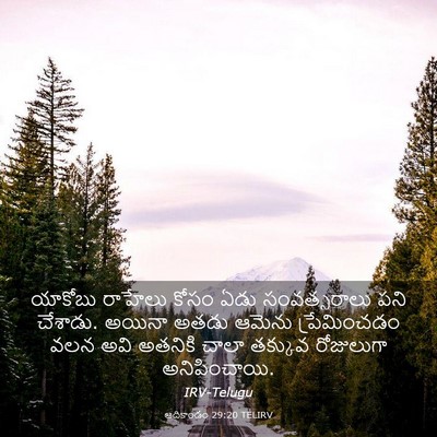 Picture 03 - ఆదికాండం 29:20 TELIRV - యాకోబు రాహేలు - Bible Verse Picture