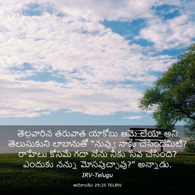 Picture 03 - ఆదికాండం 29:25 TELIRV - తెల్లవారిన తరువాత - Bible Verse Picture