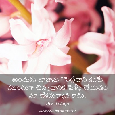 Picture 03 - ఆదికాండం 29:26 TELIRV - అందుకు లాబాను - Bible Verse Picture