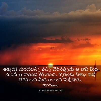 Picture 03 - ఆదికాండం 29:3 TELIRV - అక్కడికి మందలన్నీ - Bible Verse Picture
