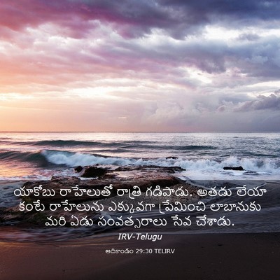 Picture 03 - ఆదికాండం 29:30 TELIRV - యాకోబు రాహేలుతో - Bible Verse Picture