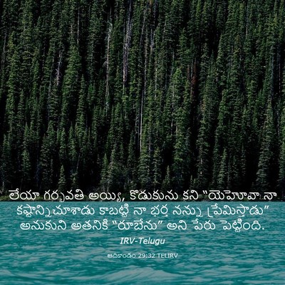 Picture 03 - ఆదికాండం 29:32 TELIRV - లేయా గర్భవతి - Bible Verse Picture