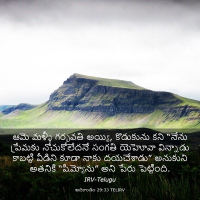Picture 03 - ఆదికాండం 29:33 TELIRV - ఆమె మళ్ళీ గర్భవతి - Bible Verse Picture