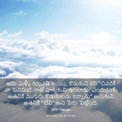 Picture 03 - ఆదికాండం 29:34 TELIRV - ఆమె మళ్ళీ గర్భవతి - Bible Verse Picture