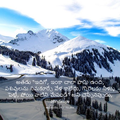 Picture 03 - ఆదికాండం 29:7 TELIRV - అతడు “ఇదిగో, ఇంకా - Bible Verse Picture