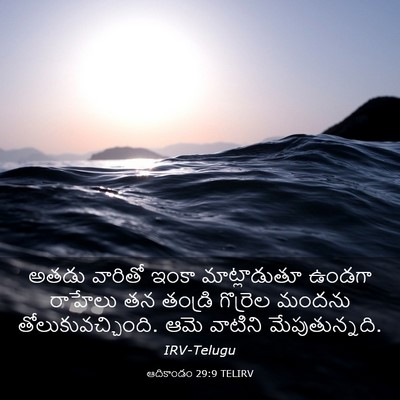 Picture 03 - ఆదికాండం 29:9 TELIRV - అతడు వారితో ఇంకా - Bible Verse Picture