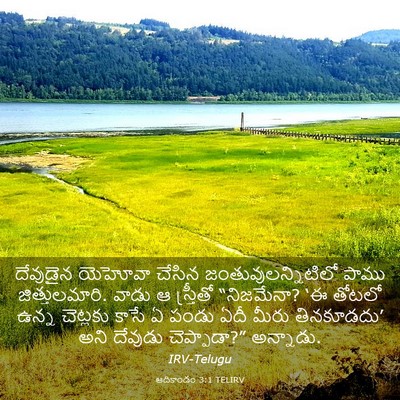 Picture 03 - ఆదికాండం 3:1 TELIRV - దేవుడైన యెహోవా - Bible Verse Picture