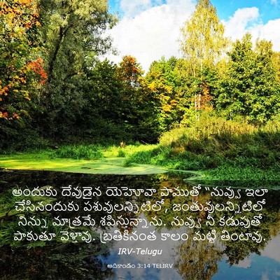 Picture 03 - ఆదికాండం 3:14 TELIRV - అందుకు దేవుడైన - Bible Verse Picture
