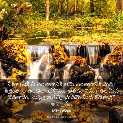 Picture 03 - ఆదికాండం 3:15 TELIRV - నీకూ స్త్రీకీ నీ - Bible Verse Picture