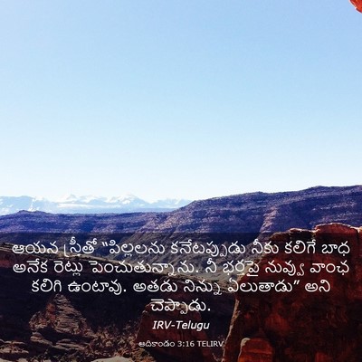 Picture 03 - ఆదికాండం 3:16 TELIRV - ఆయన స్త్రీతో - Bible Verse Picture