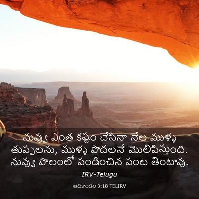 Picture 03 - ఆదికాండం 3:18 TELIRV - నువ్వు ఎంత కష్టం - Bible Verse Picture