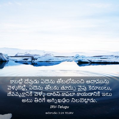 Picture 03 - ఆదికాండం 3:24 TELIRV - కాబట్టి దేవుడు - Bible Verse Picture