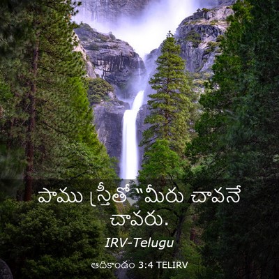 Picture 03 - ఆదికాండం 3:4 TELIRV - పాము స్త్రీతో - Bible Verse Picture