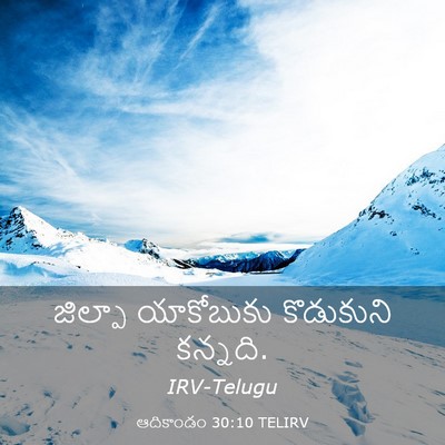 Picture 03 - ఆదికాండం 30:10 TELIRV - జిల్పా యాకోబుకు - Bible Verse Picture