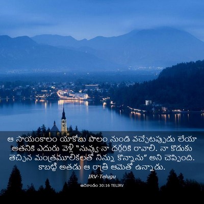 Picture 03 - ఆదికాండం 30:16 TELIRV - ఆ సాయంకాలం యాకోబు - Bible Verse Picture