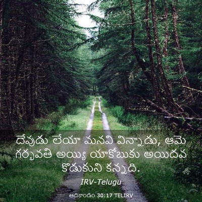 Picture 03 - ఆదికాండం 30:17 TELIRV - దేవుడు లేయా మనవి - Bible Verse Picture