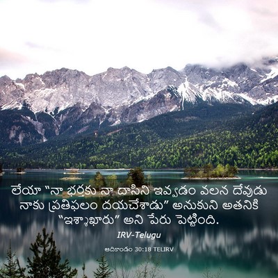 Picture 03 - ఆదికాండం 30:18 TELIRV - లేయా “నా భర్తకు నా - Bible Verse Picture