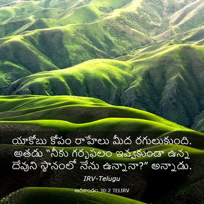 Picture 03 - ఆదికాండం 30:2 TELIRV - యాకోబు కోపం - Bible Verse Picture