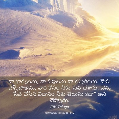 Picture 03 - ఆదికాండం 30:26 TELIRV - నా భార్యలను, నా - Bible Verse Picture