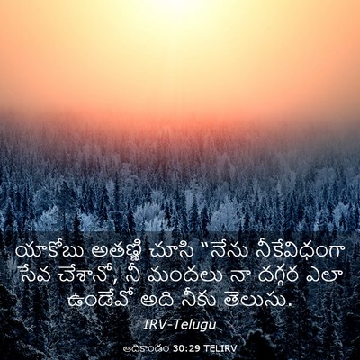 Picture 03 - ఆదికాండం 30:29 TELIRV - యాకోబు అతణ్ణి - Bible Verse Picture