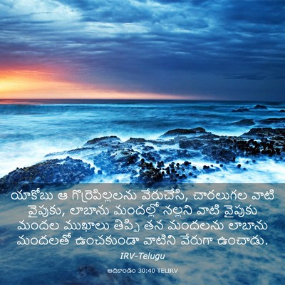 Picture 03 - ఆదికాండం 30:40 TELIRV - యాకోబు ఆ - Bible Verse Picture