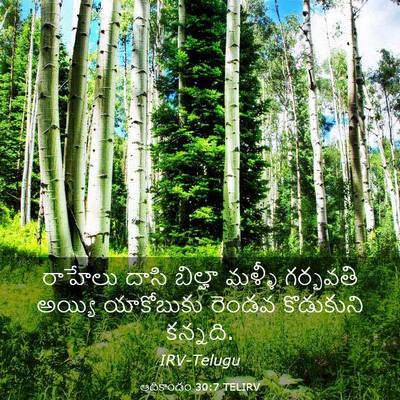 Picture 03 - ఆదికాండం 30:7 TELIRV - రాహేలు దాసి - Bible Verse Picture