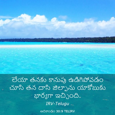 Picture 03 - ఆదికాండం 30:9 TELIRV - లేయా తనకు కానుపు - Bible Verse Picture