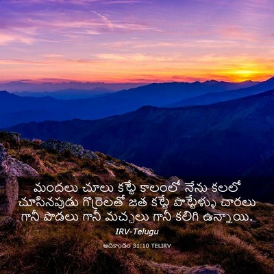 Picture 03 - ఆదికాండం 31:10 TELIRV - మందలు చూలు కట్టే - Bible Verse Picture