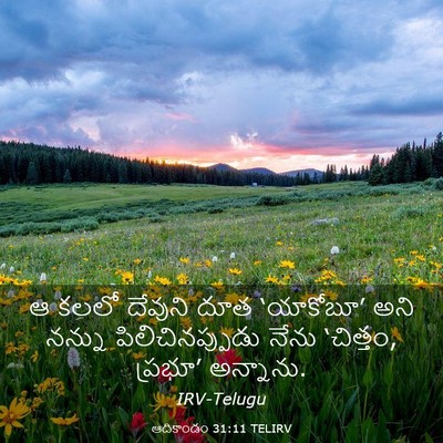 Picture 03 - ఆదికాండం 31:11 TELIRV - ఆ కలలో దేవుని దూత - Bible Verse Picture