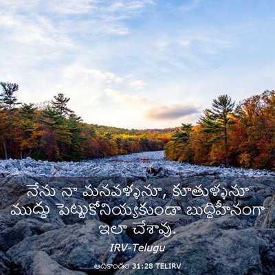 Picture 03 - ఆదికాండం 31:28 TELIRV - నేను నా మనవళ్ళనూ, - Bible Verse Picture