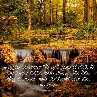 Picture 03 - ఆదికాండం 31:3 TELIRV - అప్పుడు యెహోవా - Bible Verse Picture