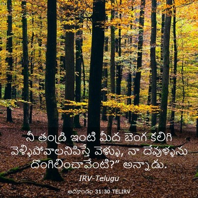 Picture 03 - ఆదికాండం 31:30 TELIRV - నీ తండ్రి ఇంటి మీద - Bible Verse Picture