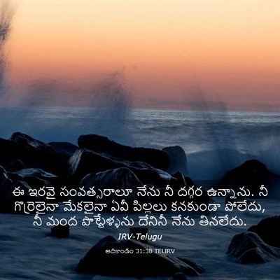 Picture 03 - ఆదికాండం 31:38 TELIRV - ఈ ఇరవై సంవత్సరాలూ - Bible Verse Picture