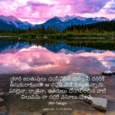 Picture 03 - ఆదికాండం 31:39 TELIRV - క్రూర జంతువులు - Bible Verse Picture