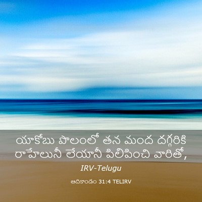 Picture 03 - ఆదికాండం 31:4 TELIRV - యాకోబు పొలంలో తన - Bible Verse Picture