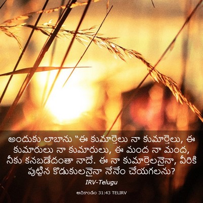 Picture 03 - ఆదికాండం 31:43 TELIRV - అందుకు లాబాను “ఈ - Bible Verse Picture