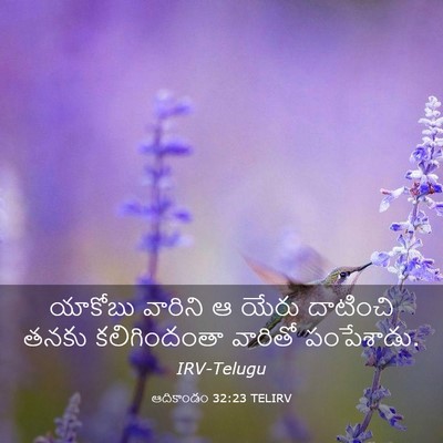 Picture 03 - ఆదికాండం 32:23 TELIRV - యాకోబు వారిని ఆ - Bible Verse Picture