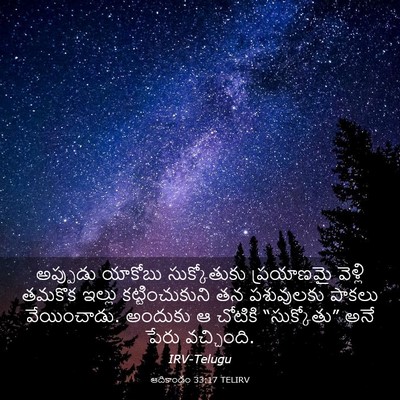 Picture 03 - ఆదికాండం 33:17 TELIRV - అప్పుడు యాకోబు - Bible Verse Picture